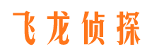 顺城市侦探公司